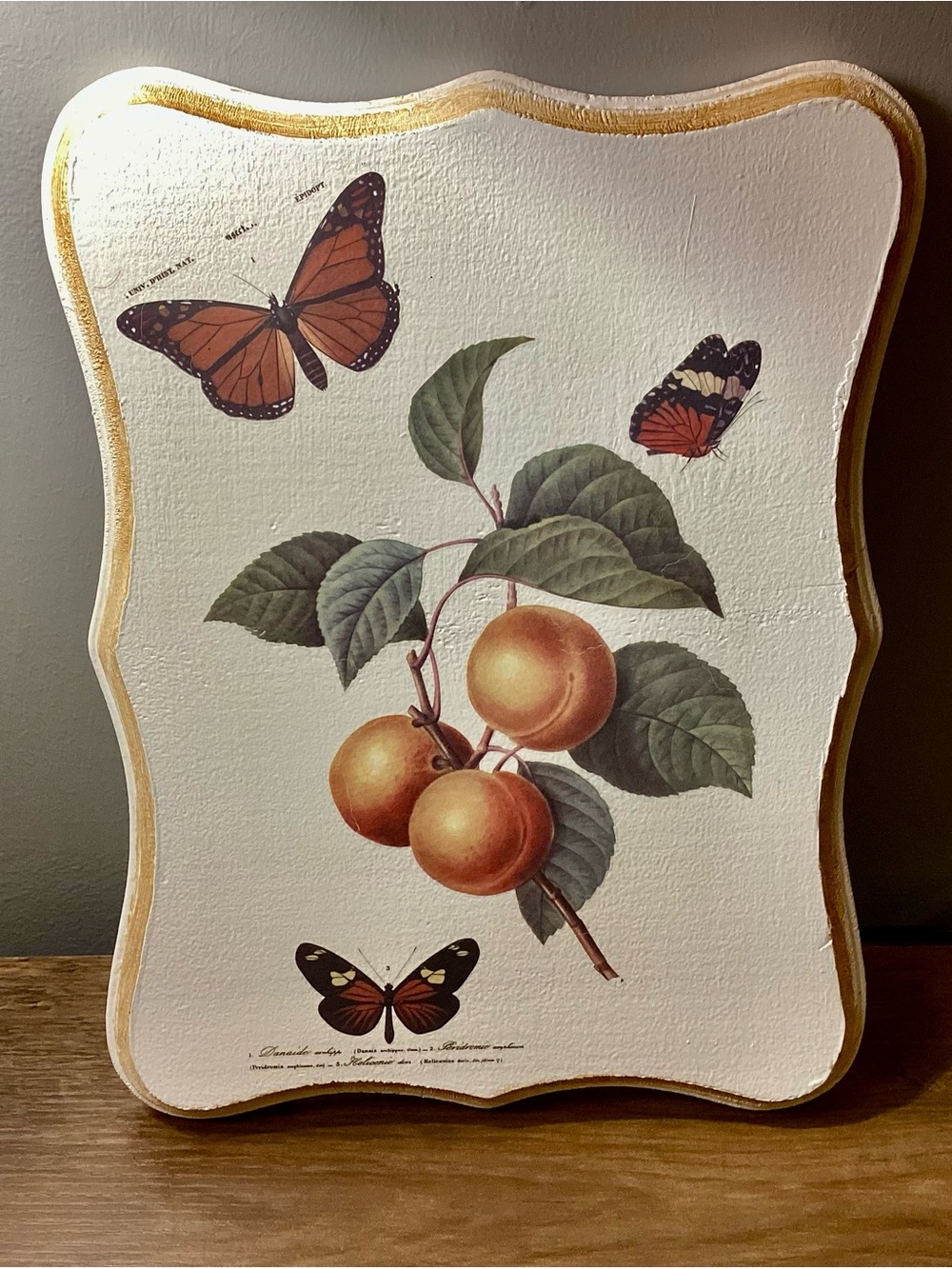 Botanical Fruit & Butterfly Wall Art – White and Gold